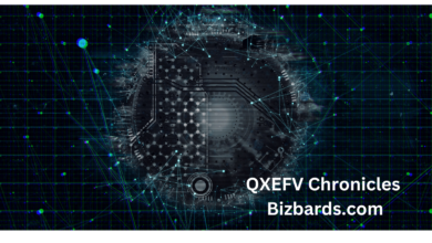 QXEFV Chronicles